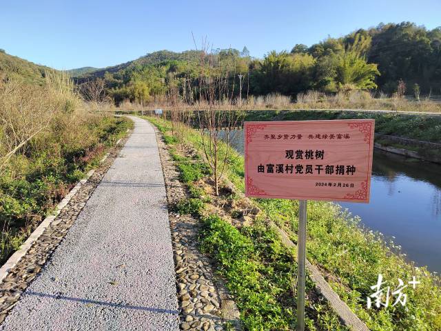 富溪村打造桃花廊。